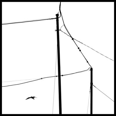 adamderesz_DSC9360_web-square-frame-black
