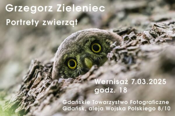 Plakat_Zieleniec_2025.03.07 Plakat_Zieleniec_2025.03.07