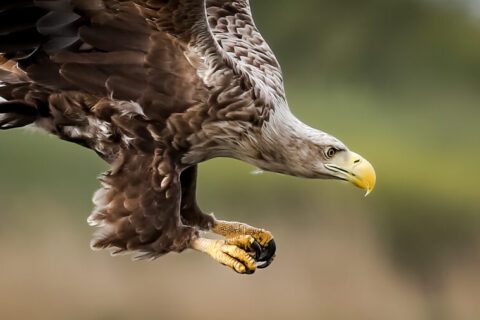 04_16_Stepnica-7161-2-2-Edit