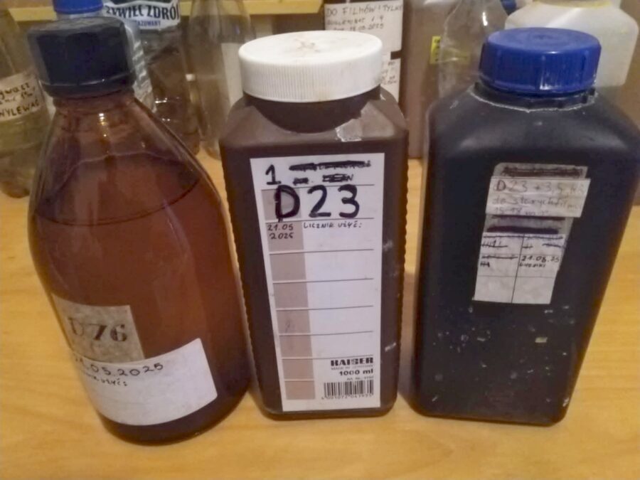 d23
